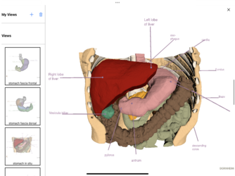 Dornheim Real Anatomy Screenshot 6