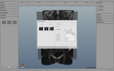 Video export