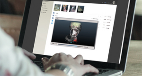 AI-assisted segmentation